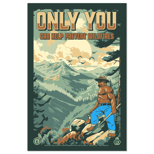 Only You Can Prevent Wildfires Rocky Mountains 80 Years of Wildfire Prevention | Smokey Bear Commemorative Poster | 12" x 18" Vintage WPA Style Art Print